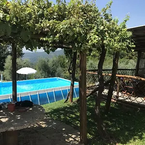 Da Nonna Argia , Massa e Cozzile Italia